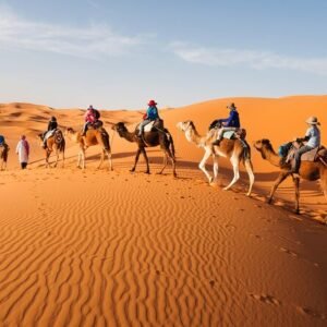 Camel Trekking Abu Dhabi - AED 300